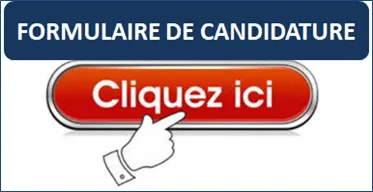 formulaire candidature