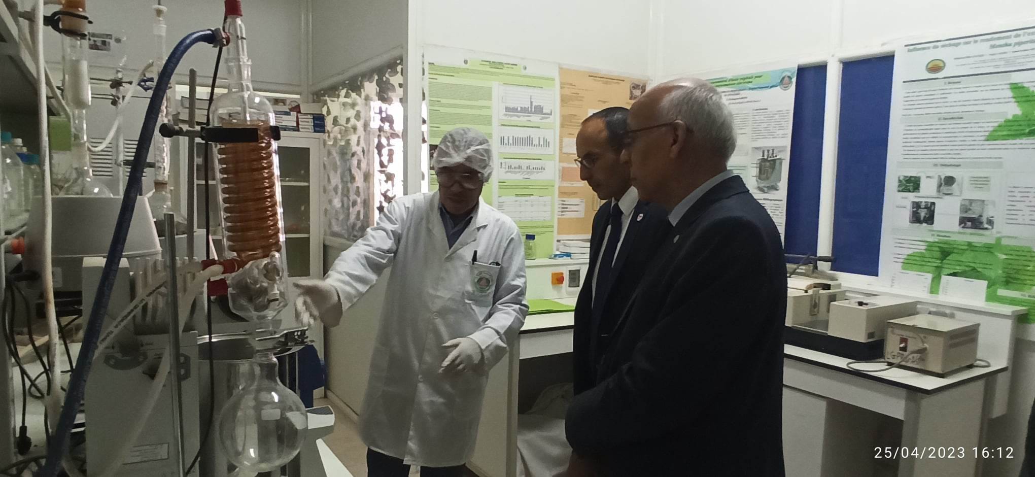 Total energies Algérie3