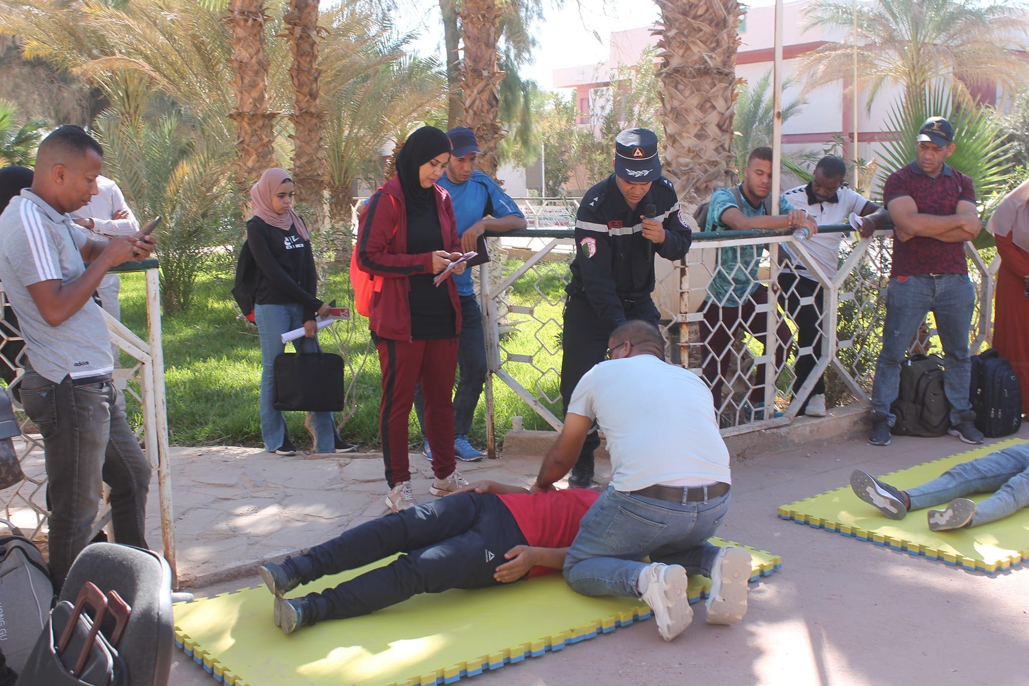 311414583 210189658029555 7671255018635068480 n