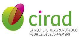 cirad