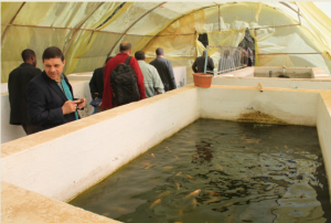 إجتماع تنسيقي لتحضير قسم دكتوراه قيادية في العلوم الفلاحية  بجامعة قاصدي مرباح ورقلة