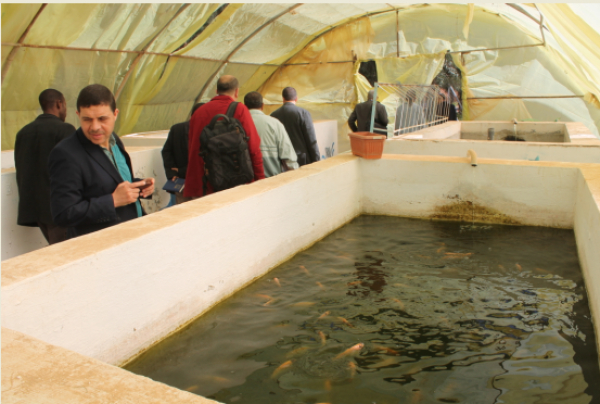 إجتماع تنسيقي لتحضير قسم دكتوراه قيادية في العلوم الفلاحية  بجامعة قاصدي مرباح ورقلة