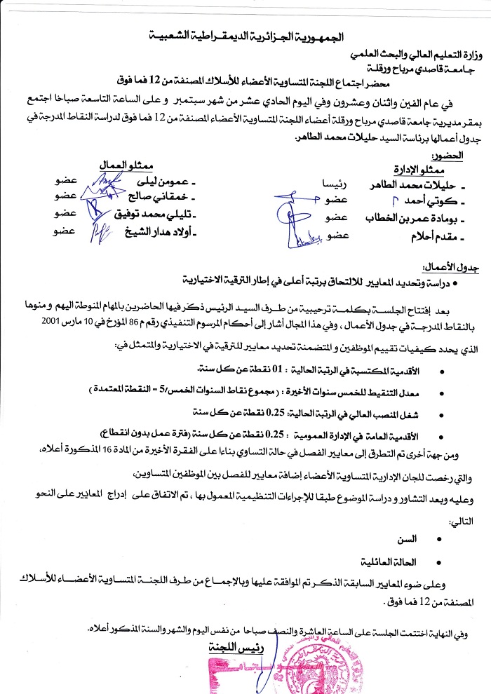 معايير الترقية الاختيارية page 0002